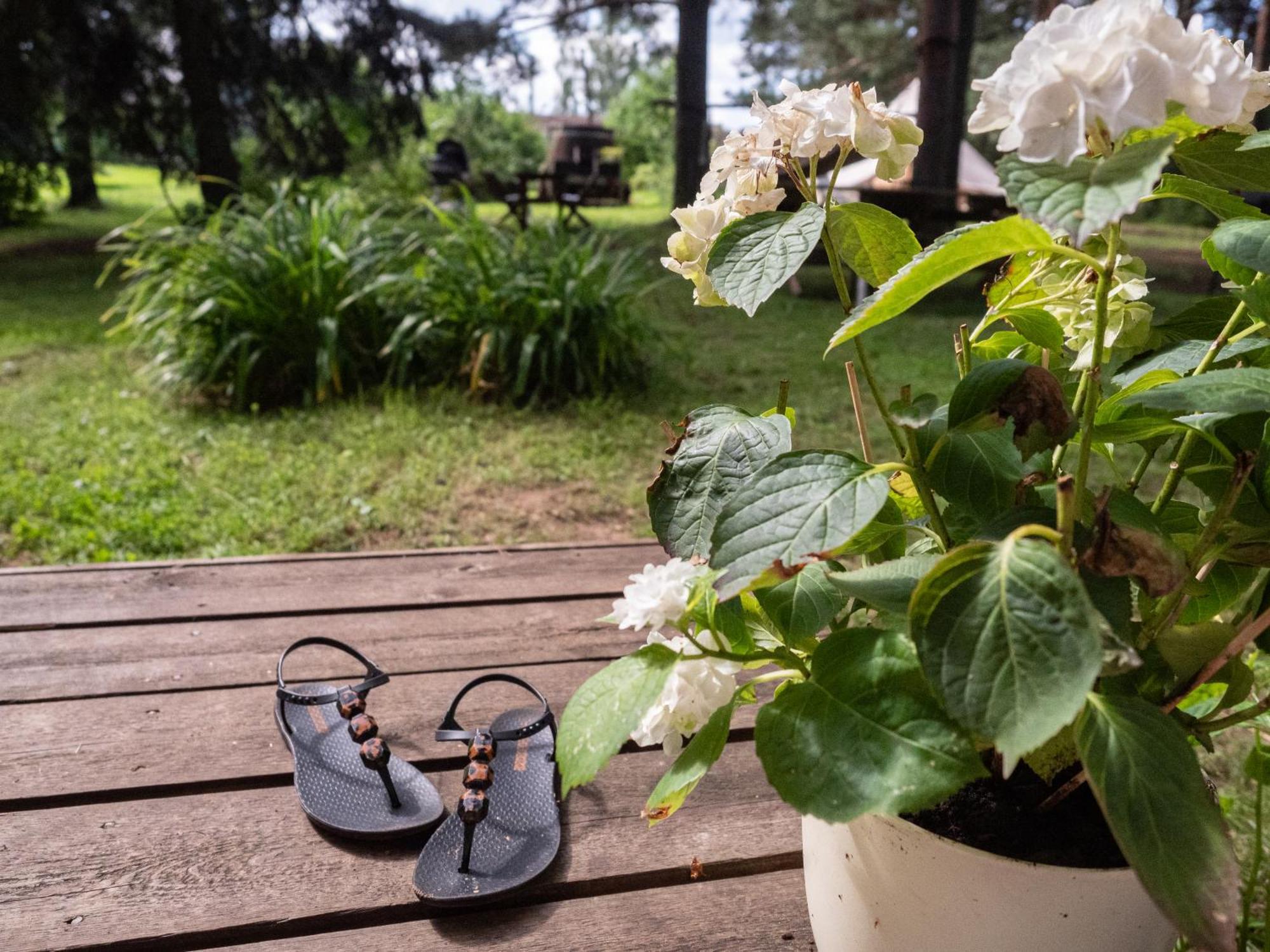Mereaeaere Glamping Ja Rannamaja Liimala Dış mekan fotoğraf