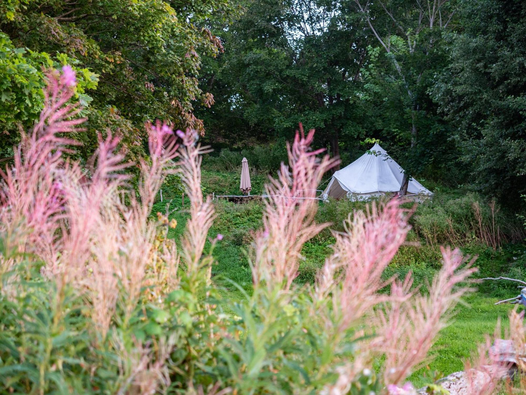 Mereaeaere Glamping Ja Rannamaja Liimala Dış mekan fotoğraf