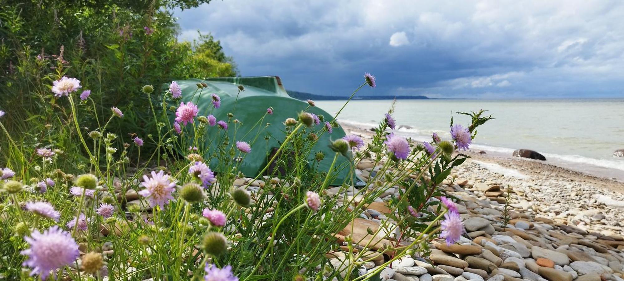 Mereaeaere Glamping Ja Rannamaja Liimala Dış mekan fotoğraf