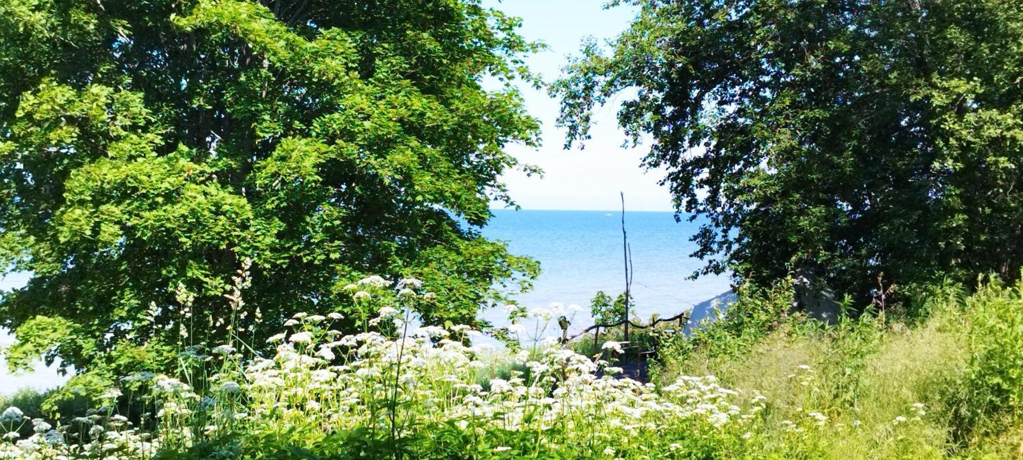 Mereaeaere Glamping Ja Rannamaja Liimala Dış mekan fotoğraf